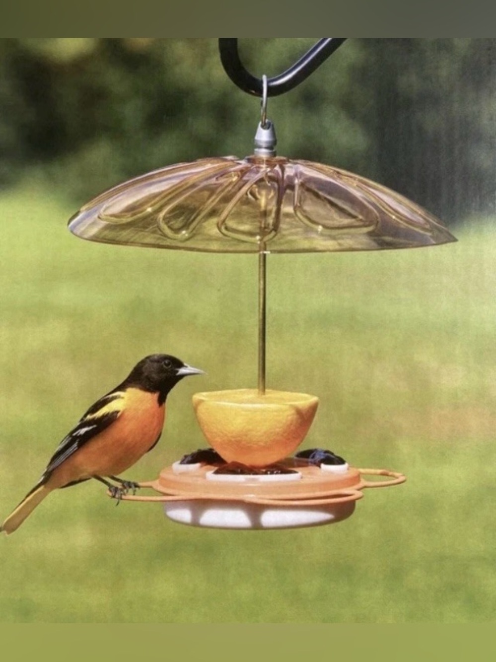Style Selections 5 oz. 3 way Oriole Fruit Feeder with Amber Canopy feeder